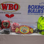 WBO boxing bullies Jake Paul Amanda Serrano gym